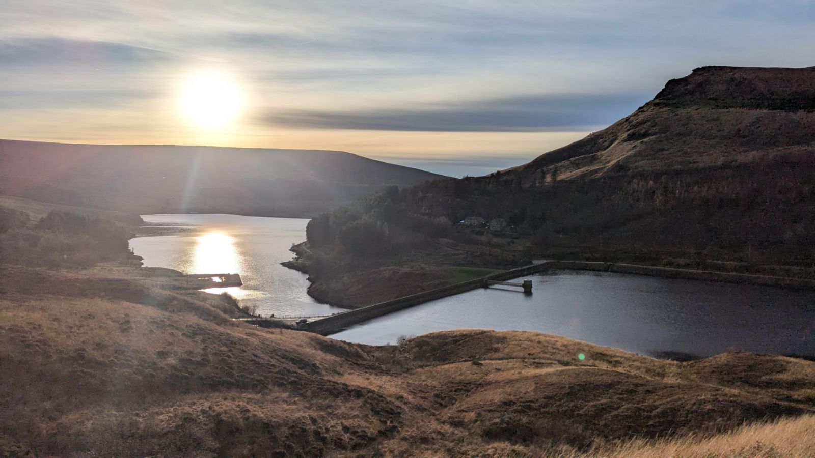 Dovestones - Tree Planting